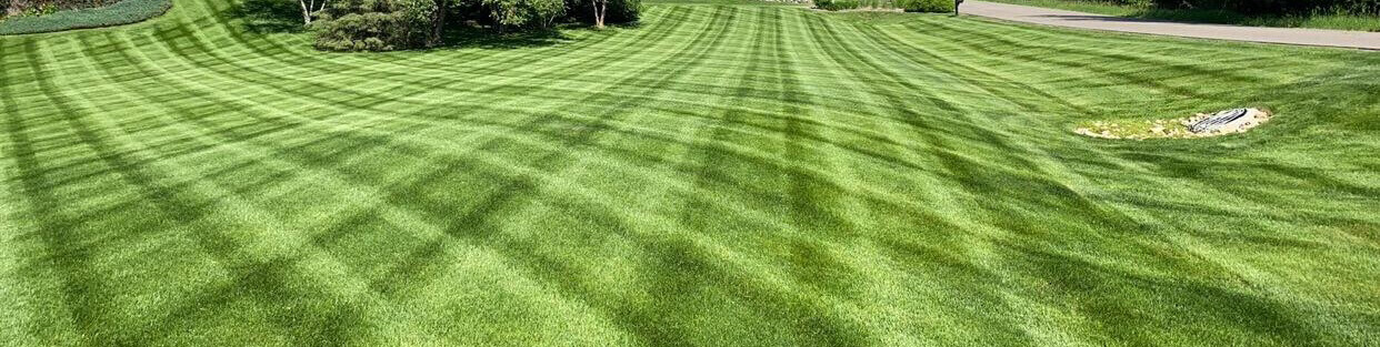 A freshly mowed lawn in Lake Elmo, Minnesota